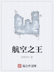 航空之王 航空之王