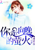 你是向晚的萤火 你是向晚的萤火