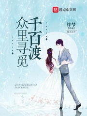 众里寻觅千百渡 众里寻觅千百渡