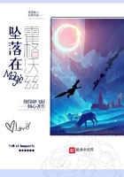坠落在霍格沃兹 坠落在霍格沃兹