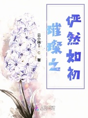 璀璨之俨然如初 璀璨之俨然如初