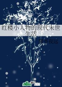 红楼小人物的现代末世生活 红楼小人物的现代末世生活