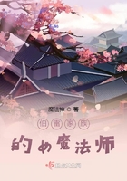 伯雷家族的女魔法师 伯雷家族的女魔法师