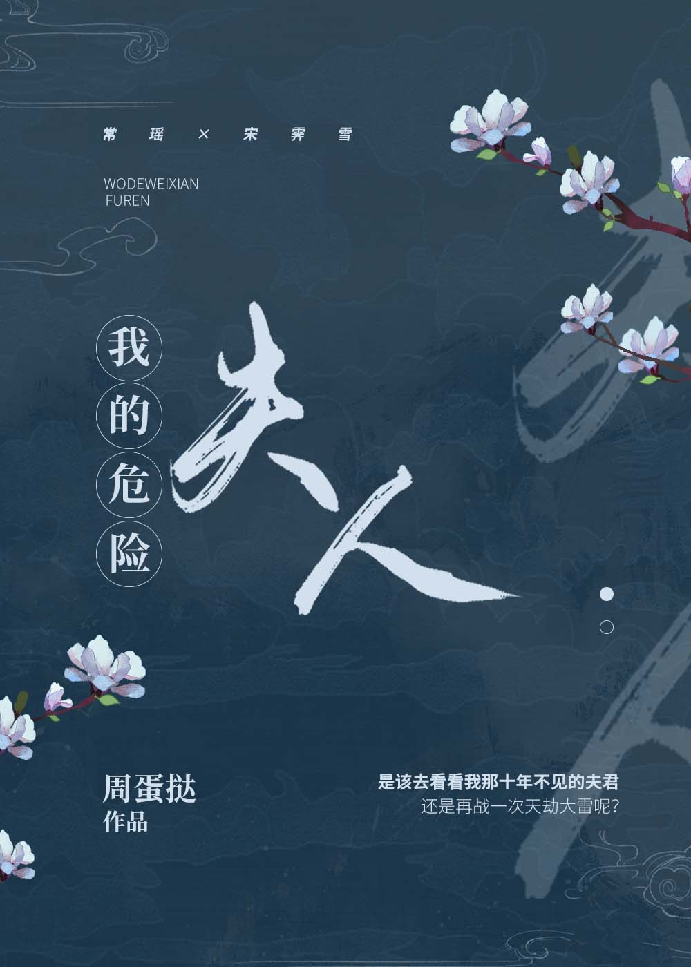 我的危险夫人 我的危险夫人