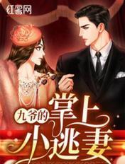 九爷的掌上小逃妻 九爷的掌上小逃妻