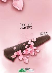 逃妾 逃妾