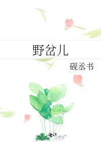 野岔儿 野岔儿