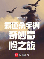 霸道杀手的奇妙冒险之旅 霸道杀手的奇妙冒险之旅