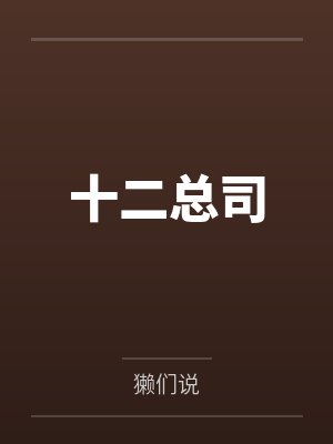 十二总司 十二总司