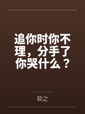 追你时你不理，分手了你哭什么？