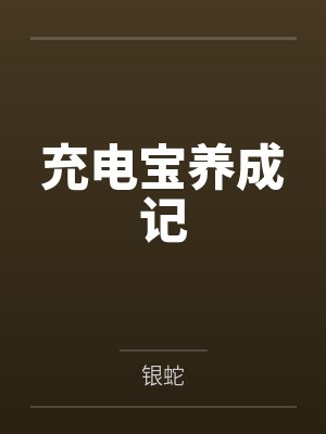 充电宝养成记 充电宝养成记