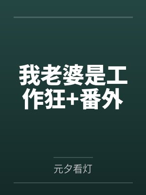 我老婆是工作狂+番外 我老婆是工作狂+番外