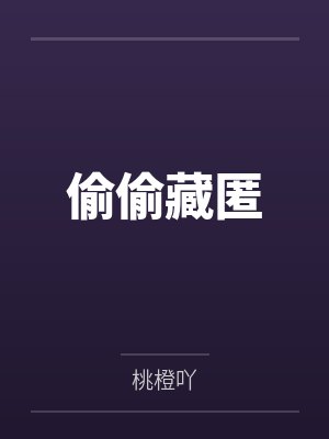 偷偷藏匿 偷偷藏匿